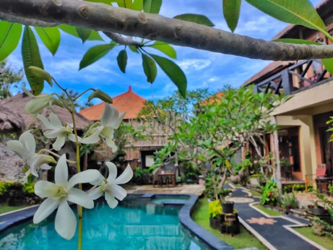 Satria Bungalow Uluwatu Eksteriør bilde