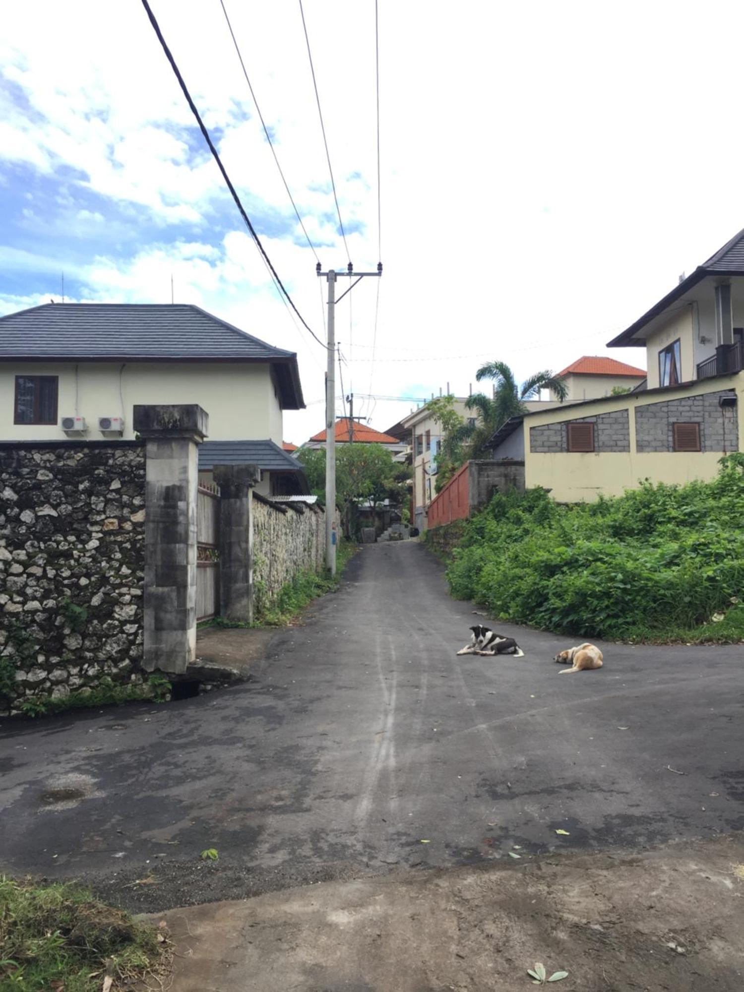Satria Bungalow Uluwatu Eksteriør bilde